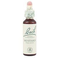Bach Original Flower Remedies - Mustard | 20ml