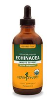 Herb Pharm Certified Organic Echinacea Root Liquid Extract for Immune System Support, Alcohol-Free Glycerite, 4 Ounce
