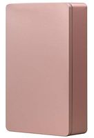 Tianhui Classic Box Rectangular Gold Empty Tin Box Containers, Gift, Jewelry and Storage Tin Kit, Home Organizer (Gold, L)