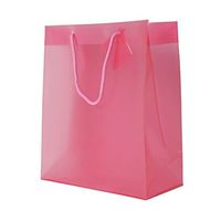 JAM PAPER Translucent Shopping Bags - 10 1/2 x 12 1/2 x 5 - Hot Pink - Sold Individually