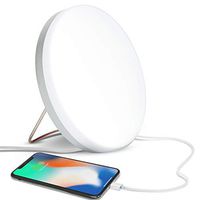 Brightech Light Therapy Lamp with Built-in USB Port for Charging - 10,000 LUX, LED UV Free, Full Spectrum Desk Light for Home and Office - Silver