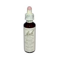 Bach Holly 20 Ml