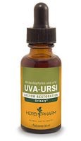 Herb Pharm Uva Ursi Liquid Extract for Urinary System Support - 1 Ounce