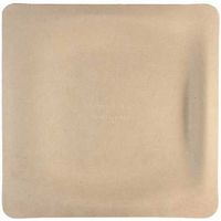 World Centric Compostable Unbleached Plant Fiber Square Plate, 9 inch - 500 per case.