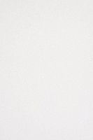 Backdrop Alley White Premium Heavyweight Solid Muslin Photo Background, 10' x 12'