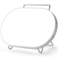 Bright White Light Therapy Lamp with 4 Adjustable Brightness, UV-Free 10,000 Lux LED Therapy Light, Touch Control with Timer Function & Compact Size