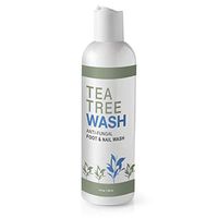 NailRENEW - Antifungal Tea Tree Foot & Nail Wash for Nail Fungus & Athlete's Foot (1 bottle)