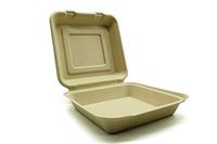 [50 Count] 10 x 10" Clamshell Disposable Eco Containers Togo Food Microwavable Hinged Container Boxes - Restaurant Carryout Lunch Meal Takeout Storage Food Service (10X10 inch, Single Compartment)