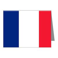 Note Card Flag of France