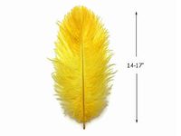 Moonlight Feather | 10 Pieces - 14-17" Yellow Ostrich Dyed Drab Body Feathers Wedding Party Centerpiece Halloween Costume