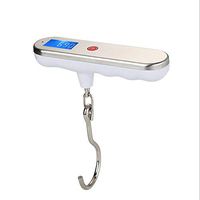 KOIUJ LCD Electronic Balance Digital Fishing Hook Hanging Scale 110lb/50KG，Portable Electronics Called (Color: Silver)