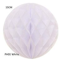 10Pcs YYC-029 (6"/15cm) Decorative Tissue Paper Honeycomb Balls Flower Pastel Birthday Wedding Holiday Party Decorations (White)
