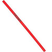 Trump Straws - Pack of 10 Make Straw Great Again