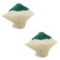 Coleman Company Slip-On Rosette Shape #51 Lantern Mantles (Pack of 2), Green/White
