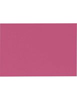 #17 Mini Flat Card (2 9/16 x 3 9/16) - Magenta Pink (250 Qty.)