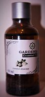 Gardenia 100% Pure Essential Oil From Bali (Gardenia 100% Pure Essential Oil, 50ml)