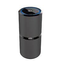 FIGO Air Purifier Portable Cleaner Car Ionizer Air Purifier Removes Dust Cigarette Smoke Haze PM2.5 Bad Odors 5V Dual USB (Black)