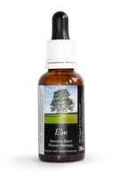 Elm Bach Flower Remedy Large 30ml. Genuine Traditionally Made Essence