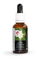 White Chestnut Bach Flower Remedy Large 30ml. Genuine Traditionally Made Essence
