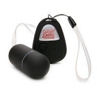 The Original Remote Control Egg