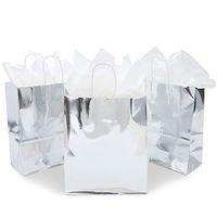 Metallic Silver Foil Paper Gift Bags (15 Pack)