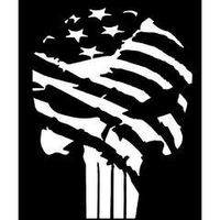 Chase Grace Studio Punisher Skull Flag America USA Military Vinyl Decal Sticker|White|Cars Trucks Vans SUV Laptop Wall Art|5.5" X 4"|CGS113