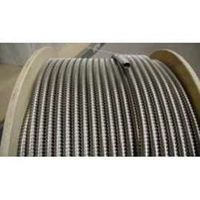 GEORGE RISK INDUSTRIES GRI 8449 EMPTY ARMORED CABLE