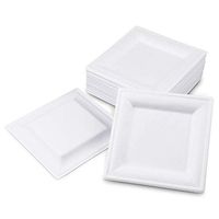 [100 Pack] Square 6" x 6" Biodegradable Bagasse Plates - White Eco Friendly Microwave Safe Sugarcane Compostable 100% Natural and Plastic Free Plate