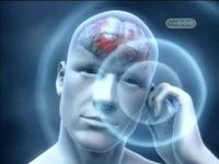 Cell Phone Protection Sticker Harmful Radiation Wi-Fi EMF Torsion Field Neutralizer