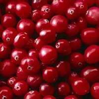 Cranberry Fruit, Whole - Wildcrafted - Vaccinum oxycoccos (454g = One Pound) Brand: Herbies Herbs