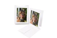 JonS Designs" Fury Looking at Me" Blank White Note Card (5.5" x 4.25") Pack of 6, Comes with White Envelope, Printed in USA
