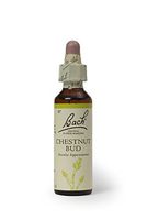 Bach Original Flower Remedies 20ml dropper - Chestnut Bud (Aesculus hippocastanum)