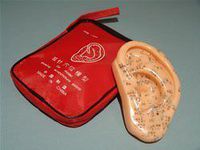 Mini Ear Model of Acupuncture Points by Mini Ear Model of Acupuncture Points
