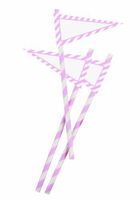 Party Partners Design 12 Count Retro Paper Straws with Banners, Pink