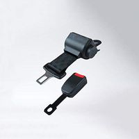 LRWSB 2-Point Seatbelt Truck Coach School Bus and Playground Amusement Park Seatbelt