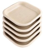 50 Count - 7" Square Natural Sugarcane Bagasse Plates - Ecofriendly - Biodegradable, Compostable Plates