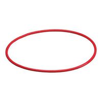 Olympus O-Ring for PT-EP01 UW Housing