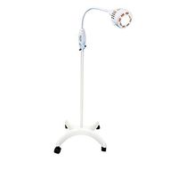 Philips Burton GL30W Gleamer Wall Mount with Extension Arm and Universal Mount, 120V Model