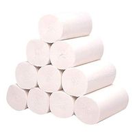 Youdw 10 Rolls Paper Hand Towels, Toilet Roll Tissue, Bath Tissue, Classic White Toilet Paper, Strong Biodegradable Bath Tissue, Soft & Strong Toilet Paper (White)