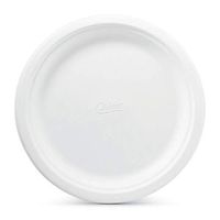 Chinet Classic White Paper Dinner Plates, 10 3/8 Inch, 165 Count (Pack of 4)