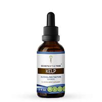Kelp Tincture Alcohol-Free Liquid Extract, Organic Kelp (Laminaria Hyperborea) Dried Plant (2 FL OZ)