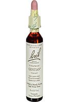 Gentian 20 ml Liquid