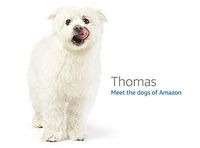 Bite Guard Intelliguard Pro Bruxism Mouthpiece Adjustable Night Guard Sleep Aid Sleep Eliminator (Renewed)