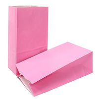 KEYYOOMY Small Paper Bags 24 CT Pink Printed Party Favor Bags for Wedding Shower Kid's Birthday Party(9.4X 5.1x 3.1 in)