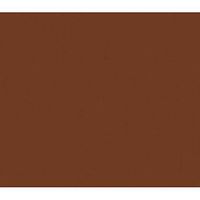 Tissue Paper Raw Sienna