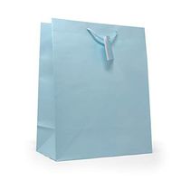 Allgala 12PK Value Premium Solid Color Paper Gift Bags (13"LG-Light Blue-GP50102)