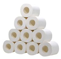 White Toilet Paper - Highly Absorbent - Ultra Soft Toilet Roll Tissue Roll Pack of 10 - Home Kitchen Toilet Tissue for Daily Use