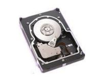 ST373454SS Seagate Cheetah 73gb 15000rpm 3.5inch Sas-300 8mb Cache In