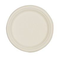 Green2 100% Tree Free White Plates, 8.86 Inch, 500 Count