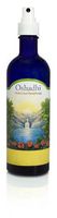 Oshadhi - Professional Aromatherapy Floral Water Organic Orange Blossom - 100 ml.